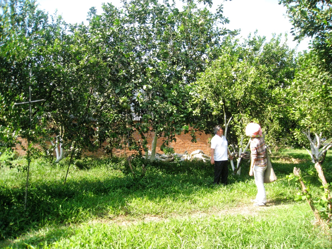 22.11-Phuc hoi sx NN sau gian cach.jpg