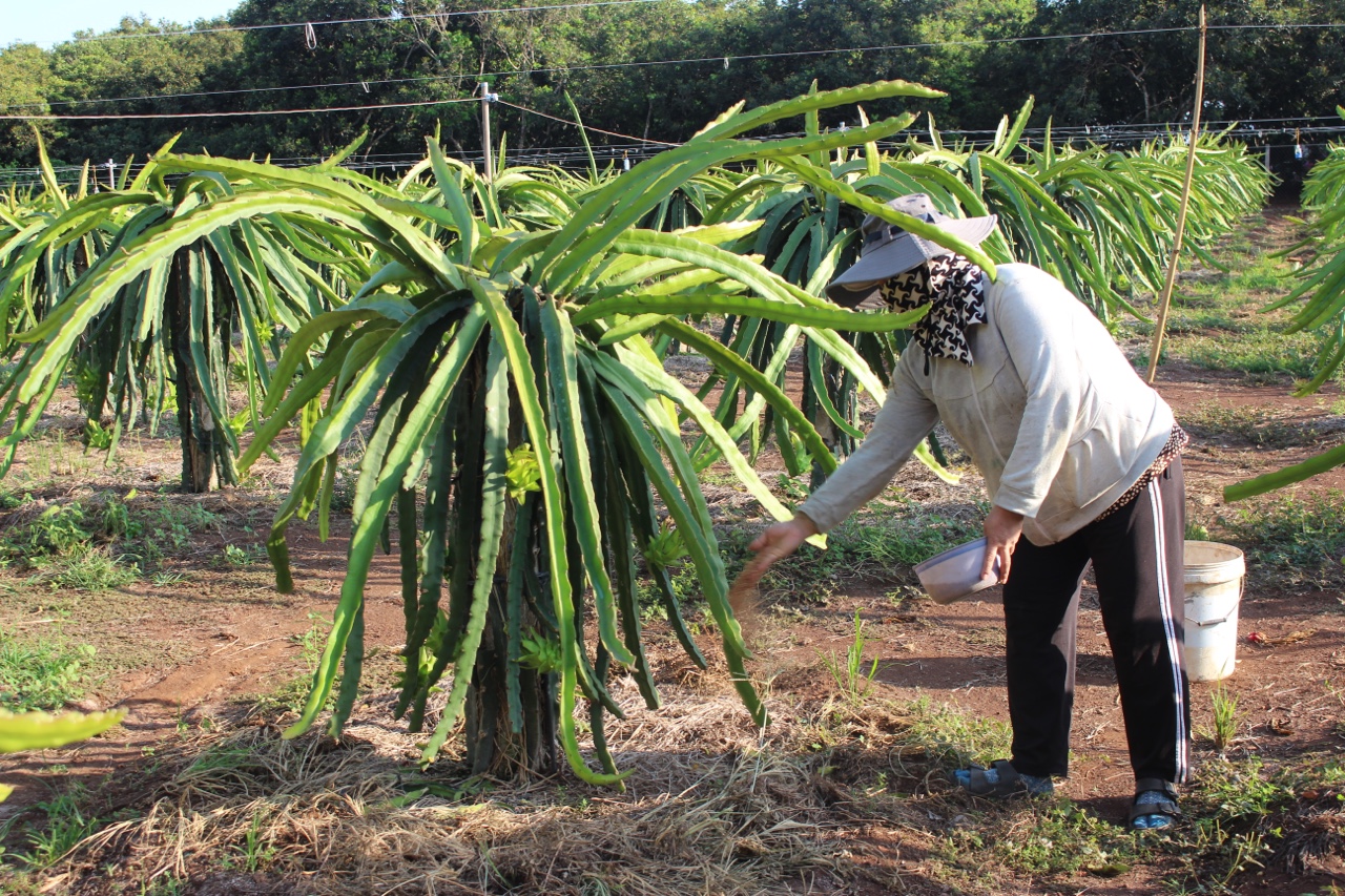 29.11-Nhiều vi phạm về phân bón, thuốc bảo vệ thực vật.jpg