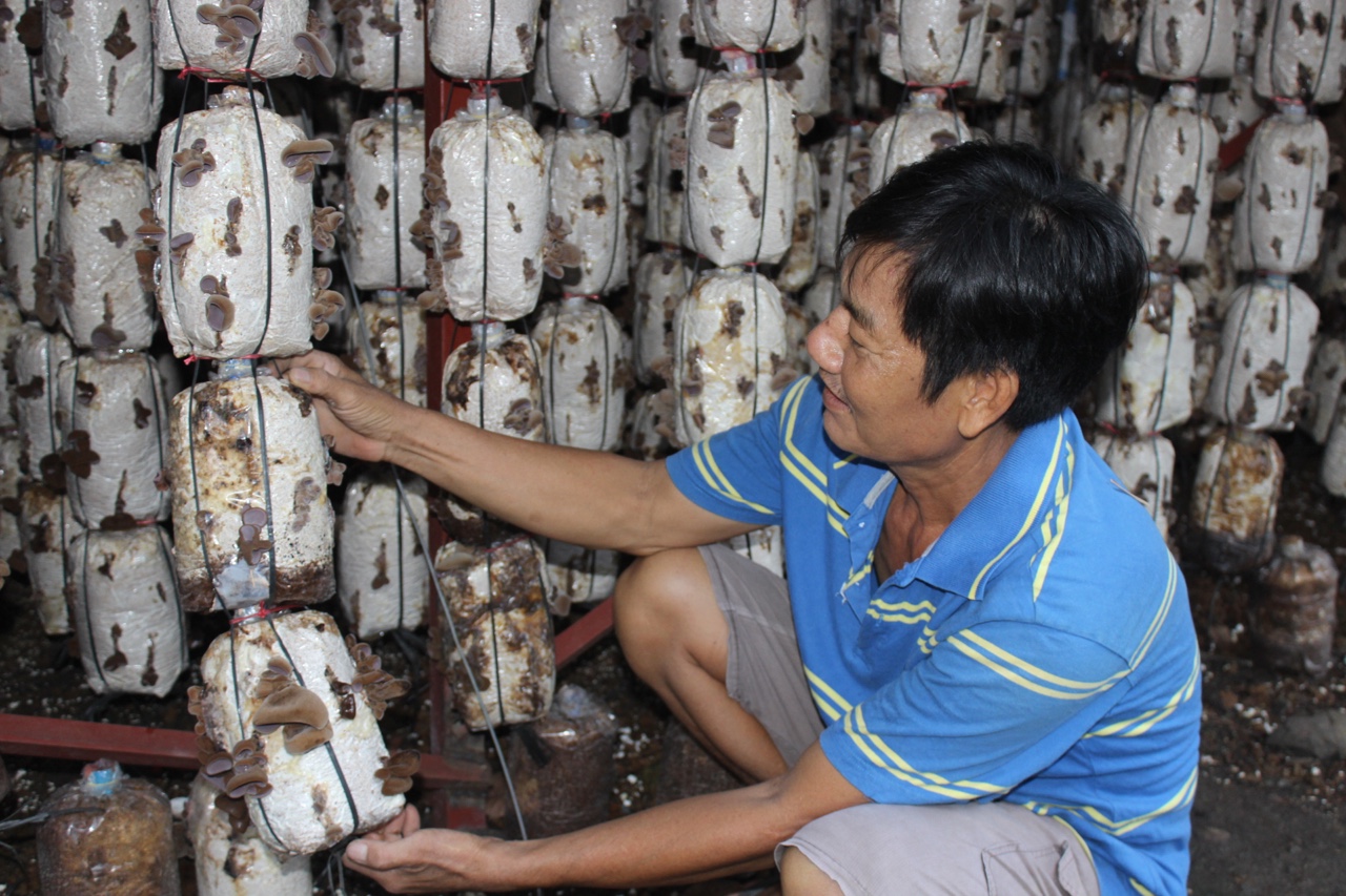 1.12-Xã vùng sâu nỗ lực về đích sớm ntm nâng cao h1.jpg