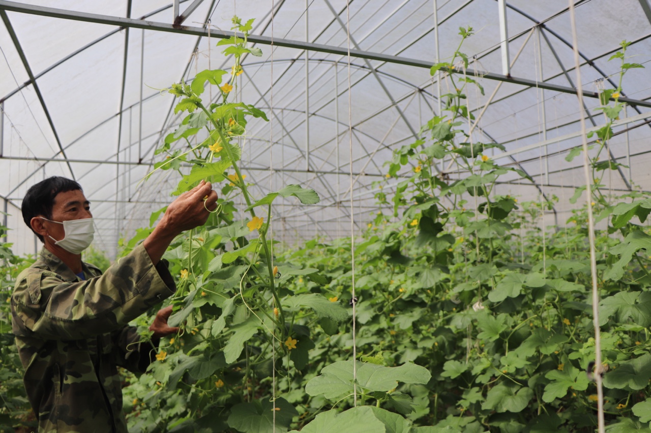 2,1-Phát huy vai trò kinh tế trang trại trong hội nhập h2.jpg