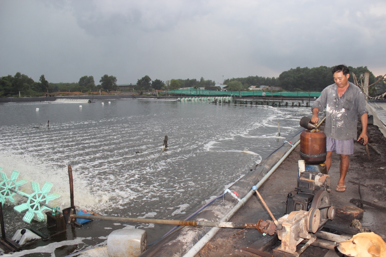 11.1-Nuôi tôm ứng dụng công nghệ mới tại H.Nhơn Trạch.jpg