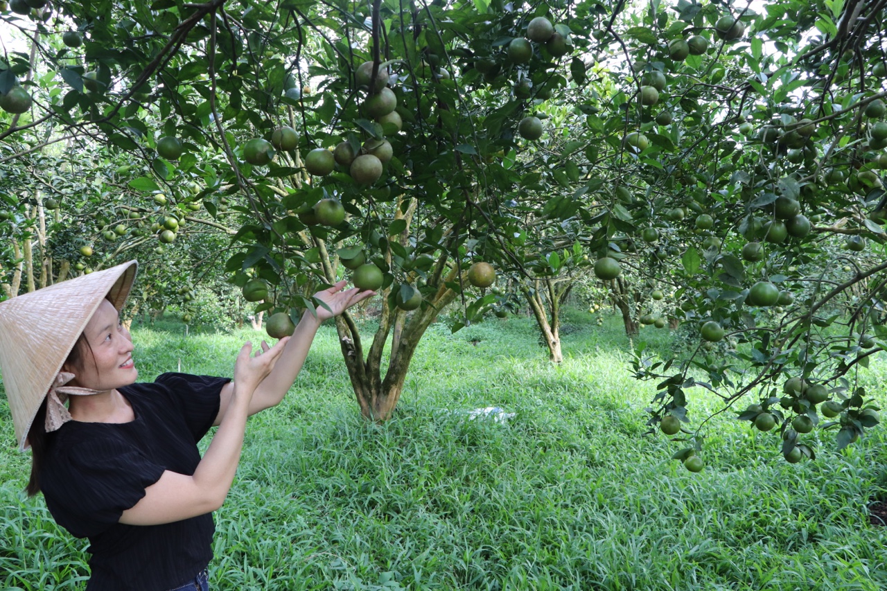 26.1-Vĩnh Cửu vượt khó trong hậu xây dựng nông thôn mới H1.jpg