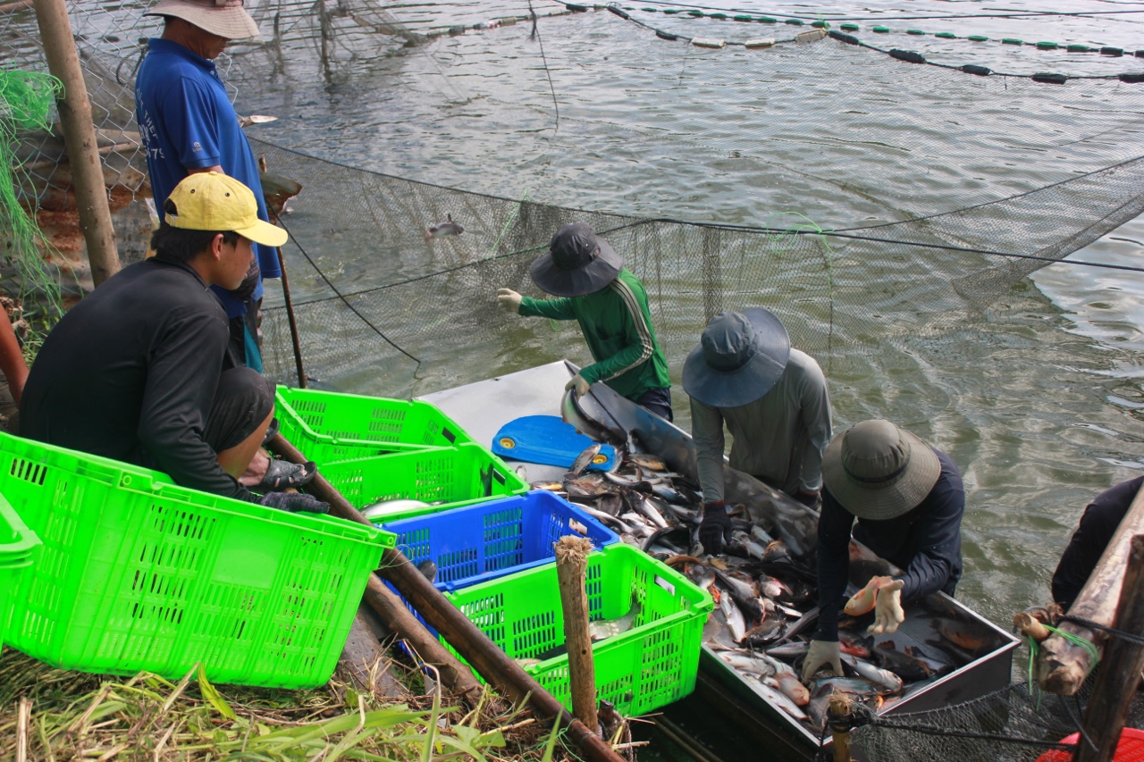 26.1-Vĩnh Cửu vượt khó trong hậu xây dựng nông thôn mới H2.jpg