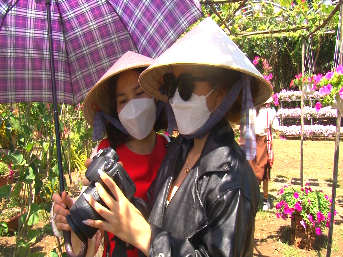 Sequence 01.Still047090222.jpg