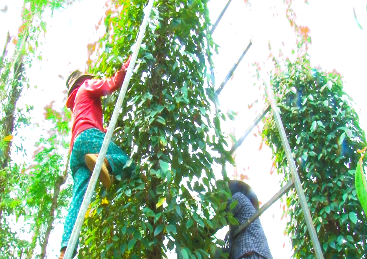 Sequence 01.Still053090222.jpg