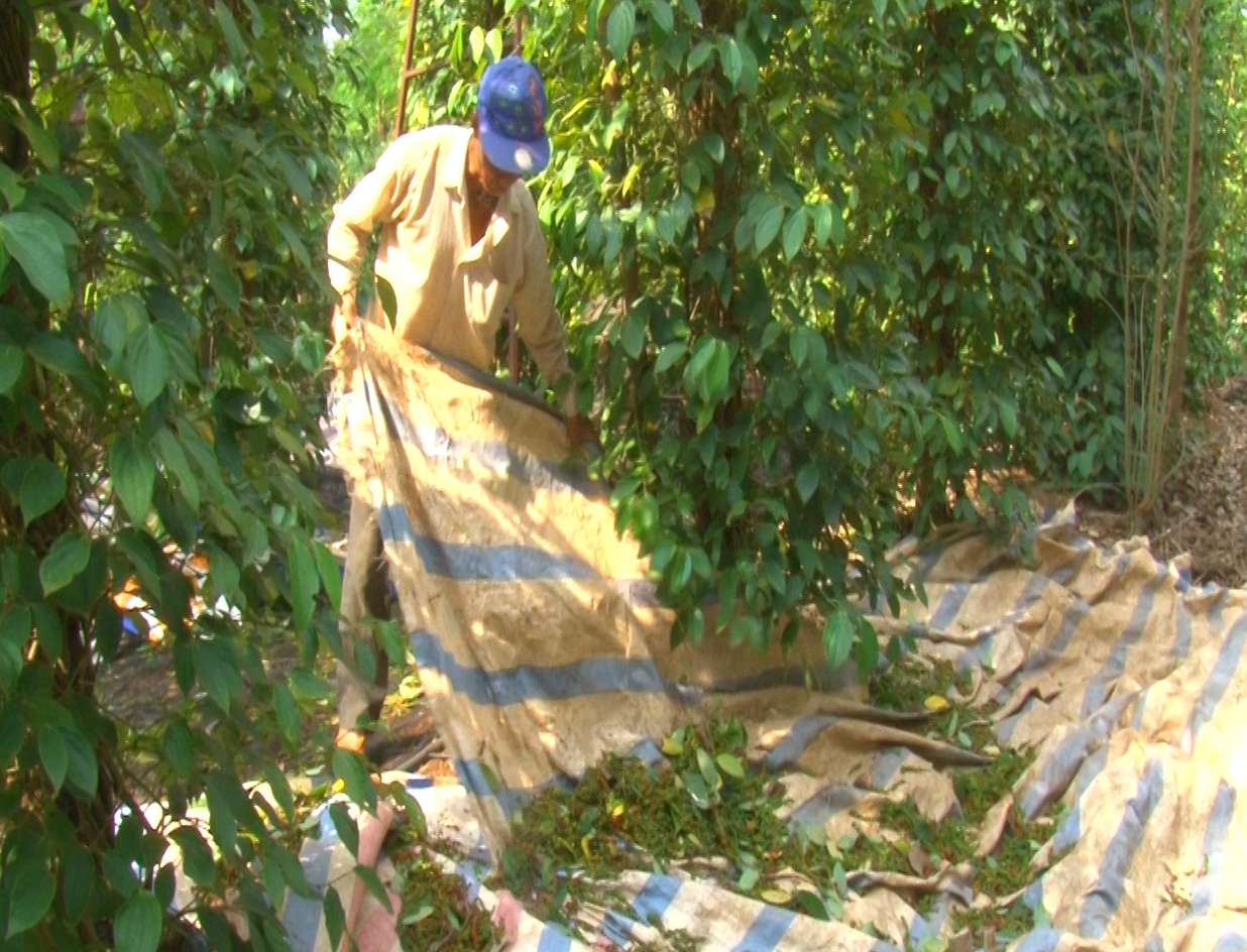 Sequence 01.Still054090222.jpg