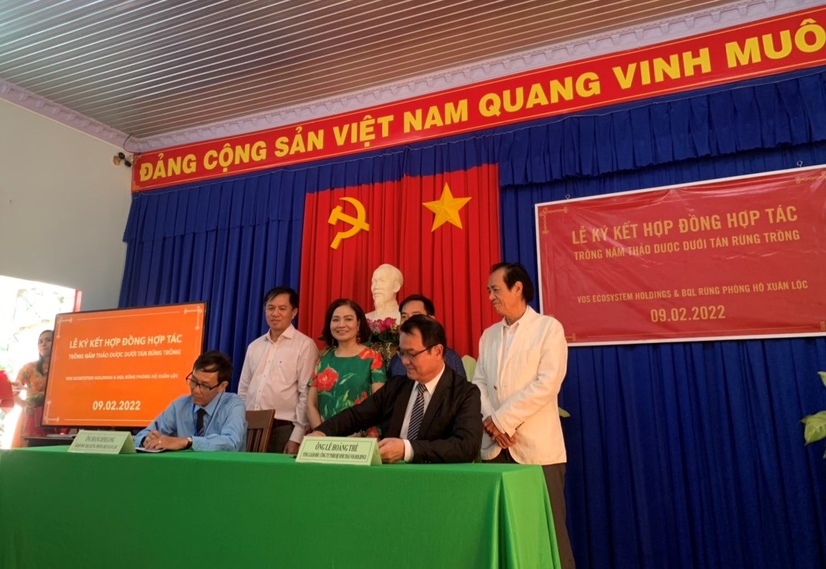 15.2-Trồng nấm linh chi dưới tán rừng keo lai H1.1.jpg