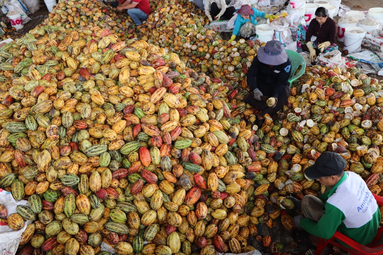 17.2-XuÃ¢n 2022-NTM H2.jpg