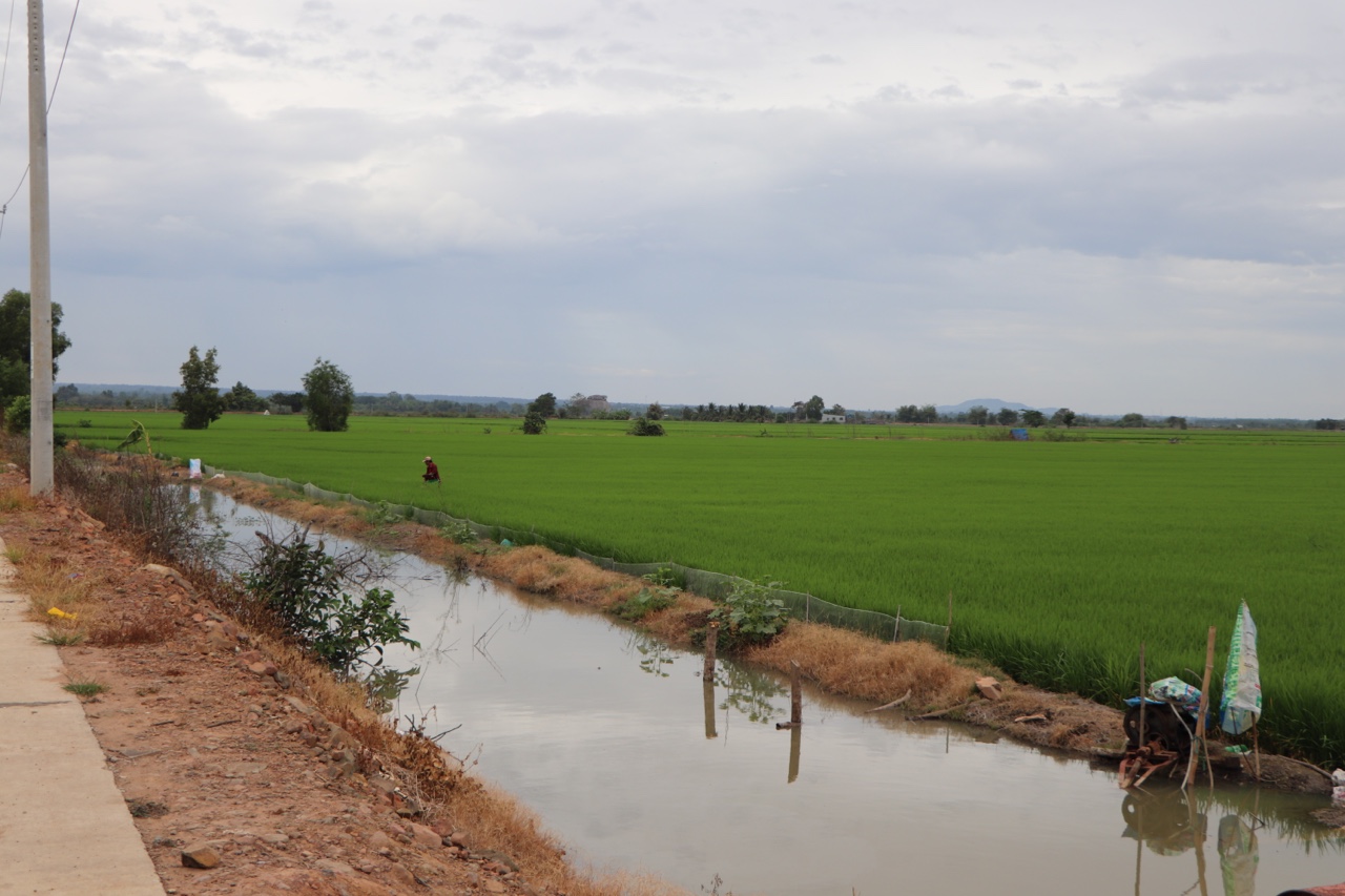 17.2-Đảm bảo nguồn nước sản xuất vụ đông xuân 2021-2022.jpg