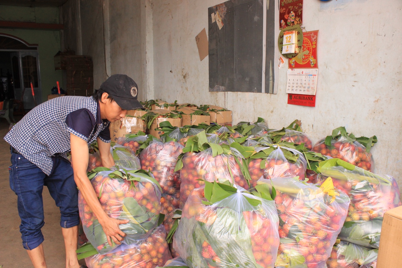 10.3-Nhiều thách thức xây dựng vùng sx lớn H2.jpg