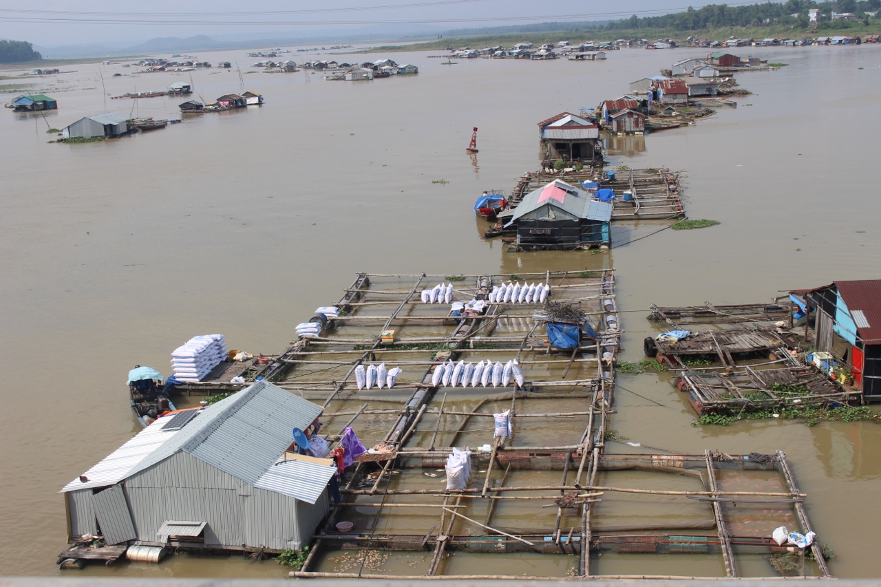 1.4-Nhiều khu vực nuôi thủy sản bị ô nhiễm nguồn nước.jpg