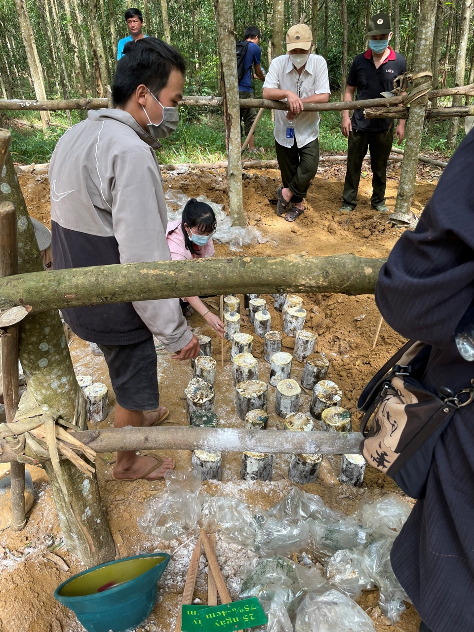 4.4-TS Lê Hoàng Thế GĐ CTY Hệ sinh thái The Vos H2.jpg