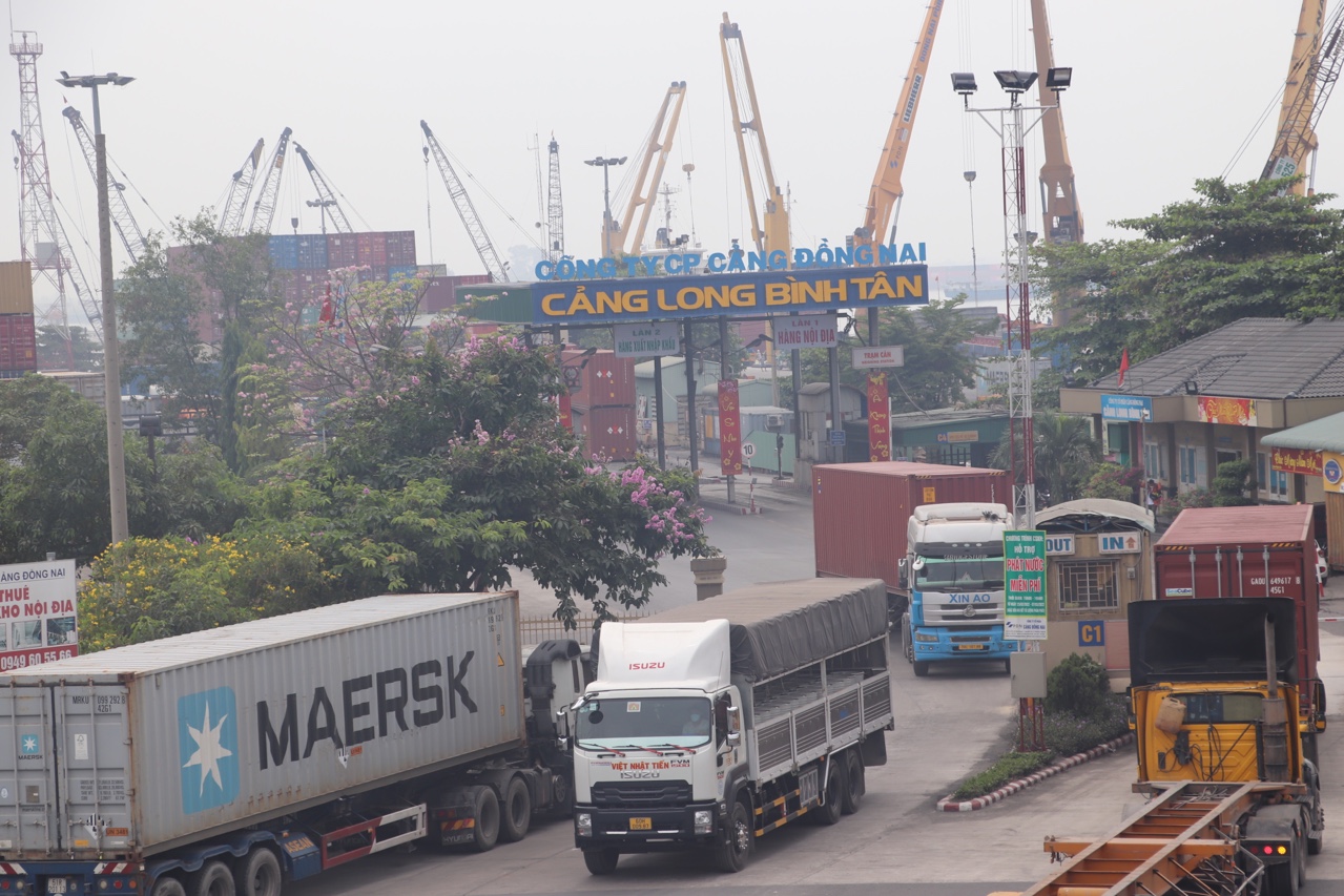 longbinh sua-6422.jpg?t=1753674349