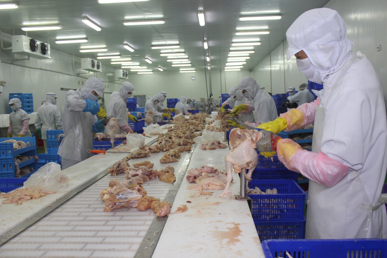 8.4-Tìm cơ hội xuất khẩu sản phẩm chăn nuôi h1.jpg