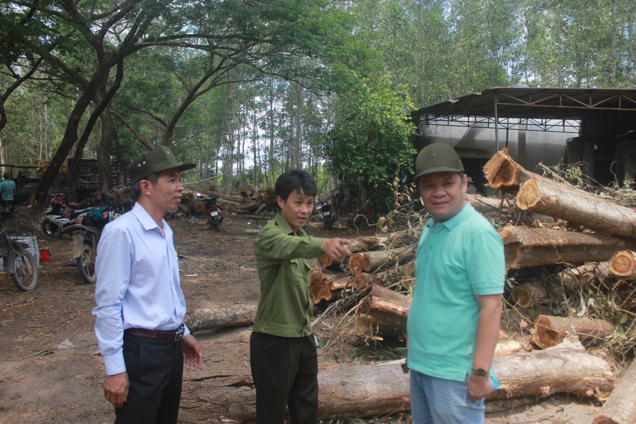 8.4-Phát triển chuỗi liên kết trồng rừng gỗ lớn h2.jpg