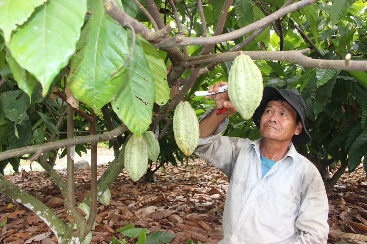14.4-Xây dựng nông thôn mới theo tiêu chí đô thị h1.jpg