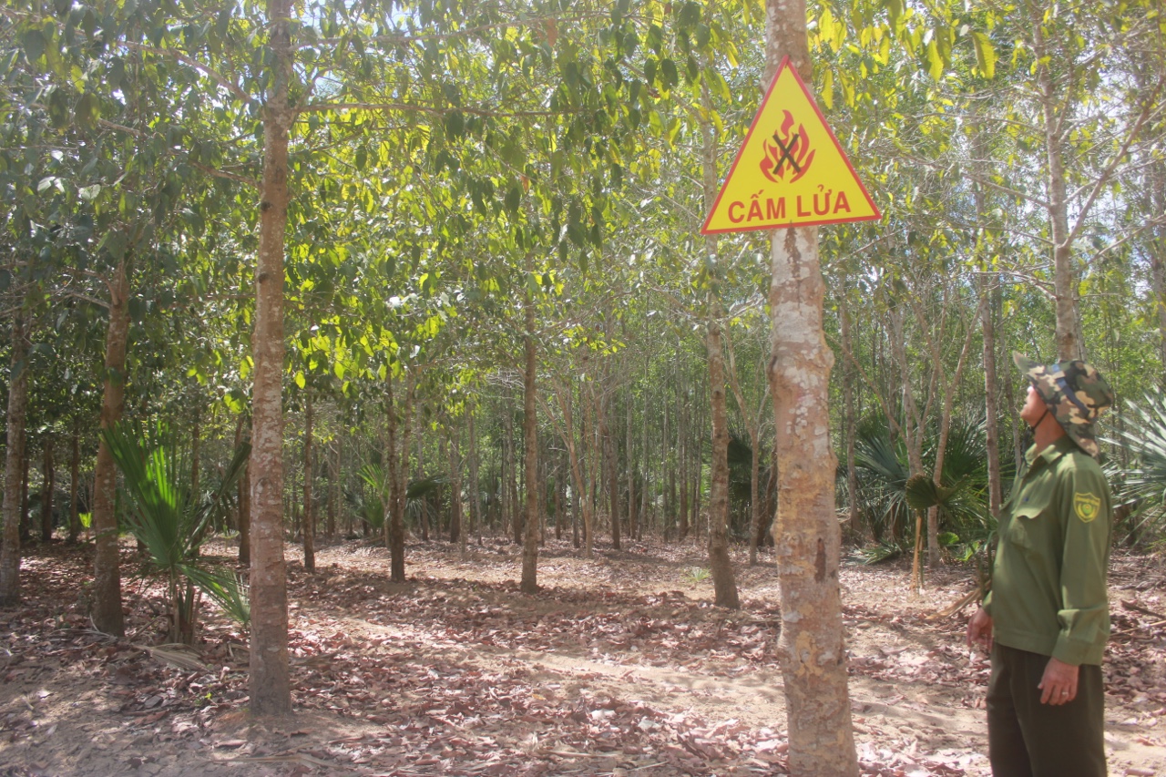 18.4-Tăng cường xử lý vi phạm trong lĩnh vực lâm nghiệp.jpg