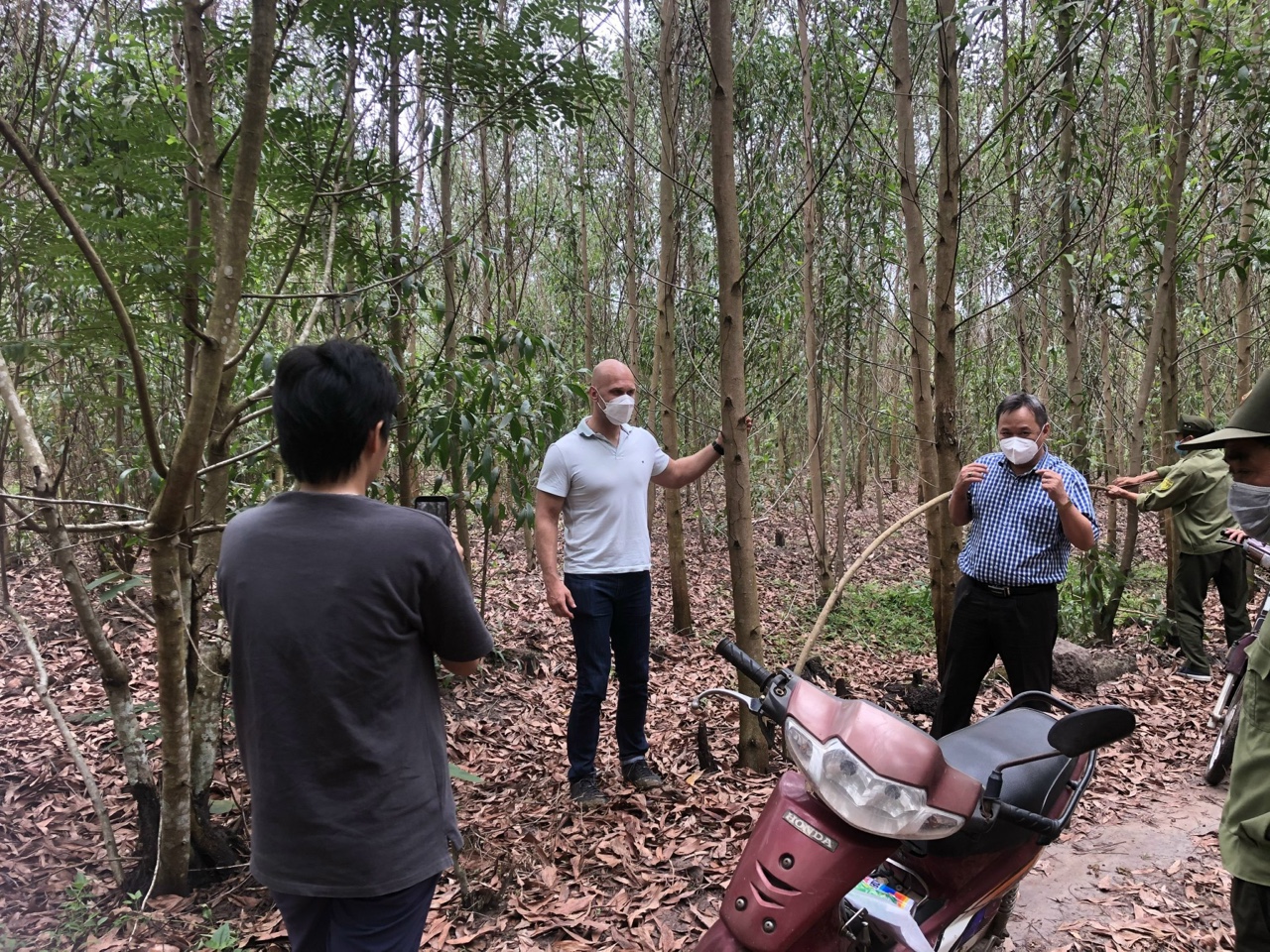 20.4-hỗ trợ phát triển rừng bền vững H2.jpg