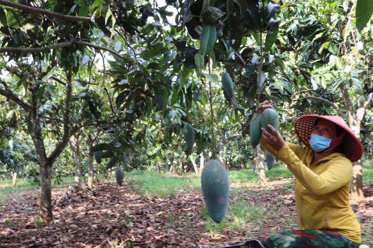 26.4-Thách thức phát triển nông nghiệp bền vững 1.jpg