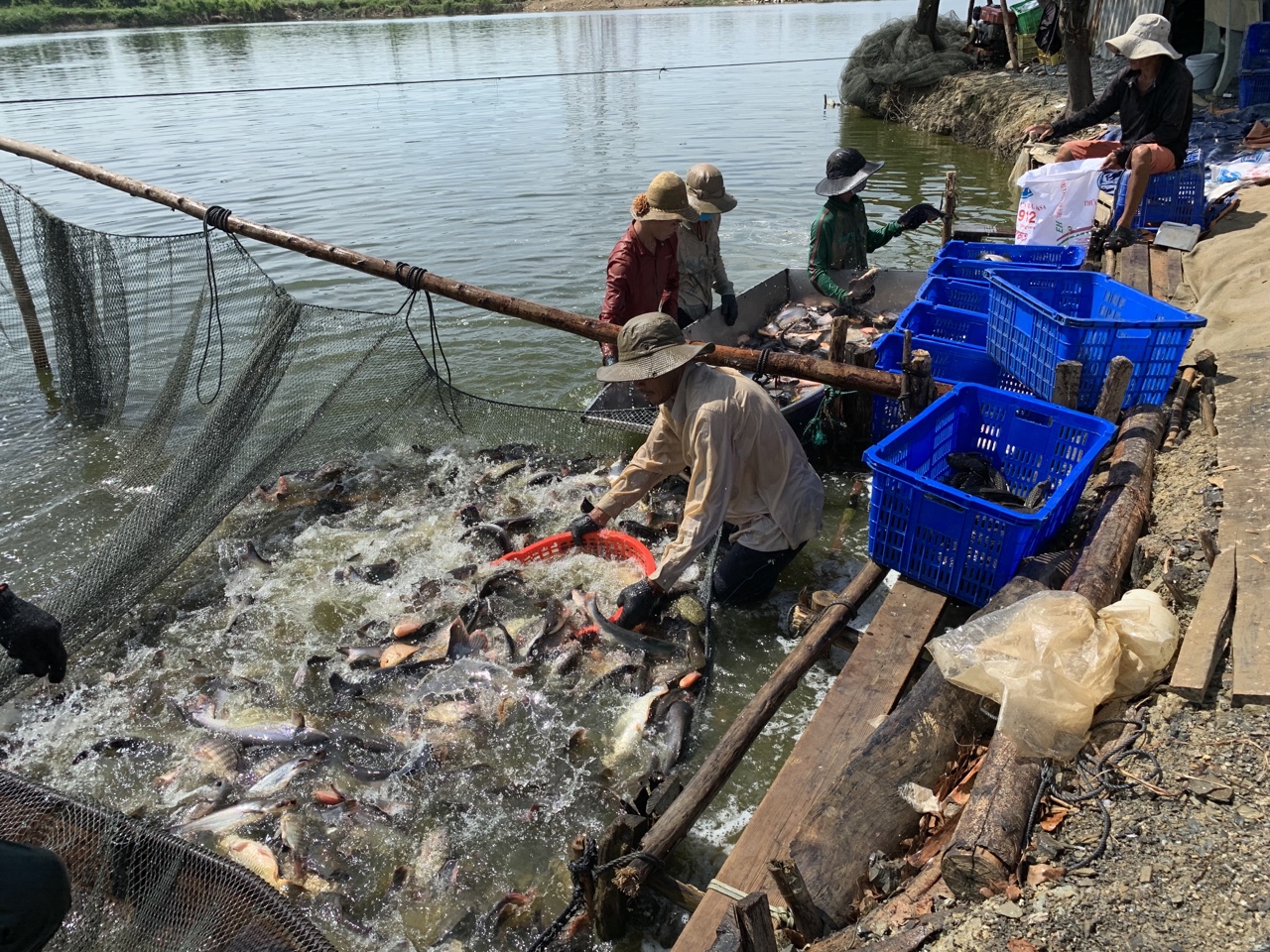 12.5-Khai thác thế mạnh 1.jpg