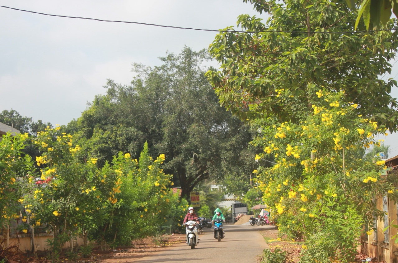 12.5-Thách thức nâng chất xây dựng NTM 1.jpg