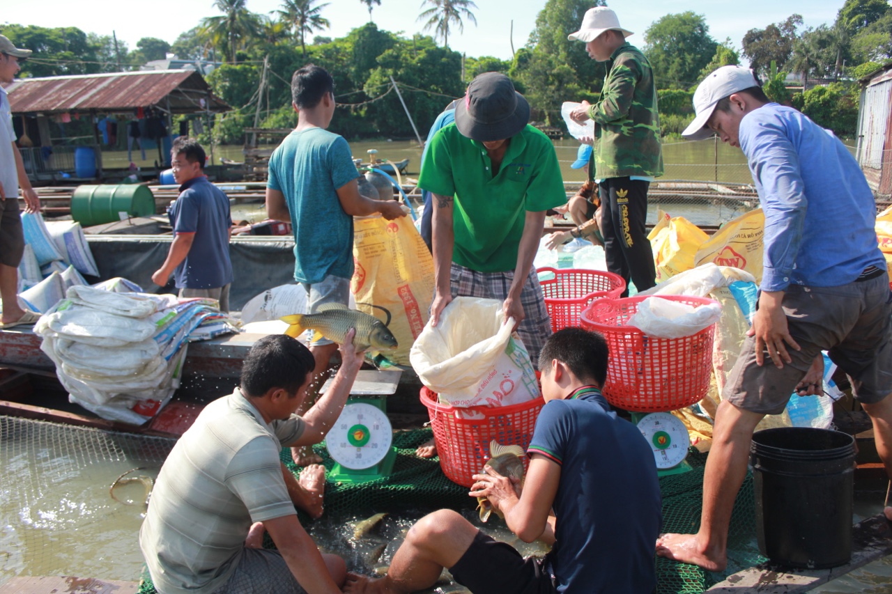 12.5-Phát triển nuôi trồng thủy sản 1.jpg