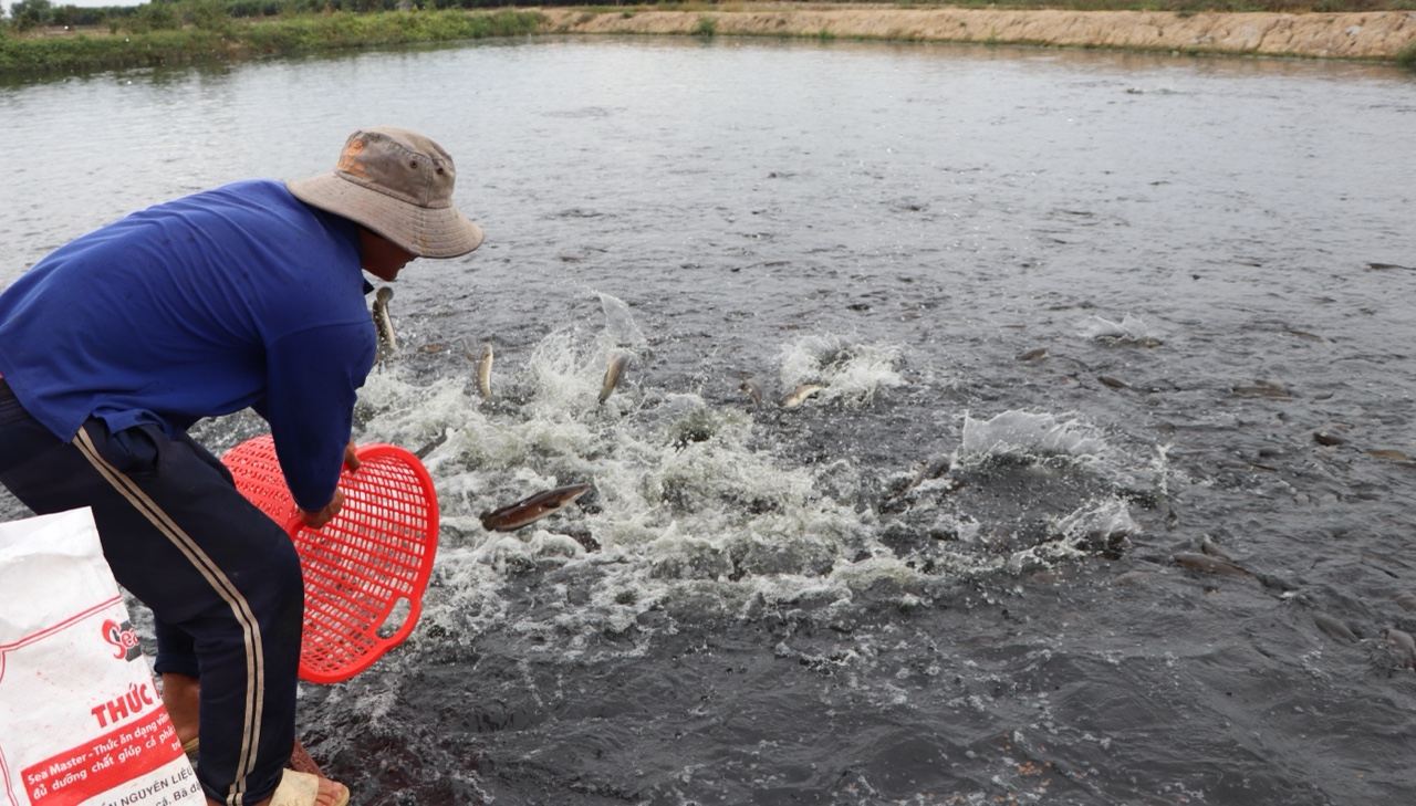 12.5-Phát triển nuôi trồng thủy sản 2.jpg