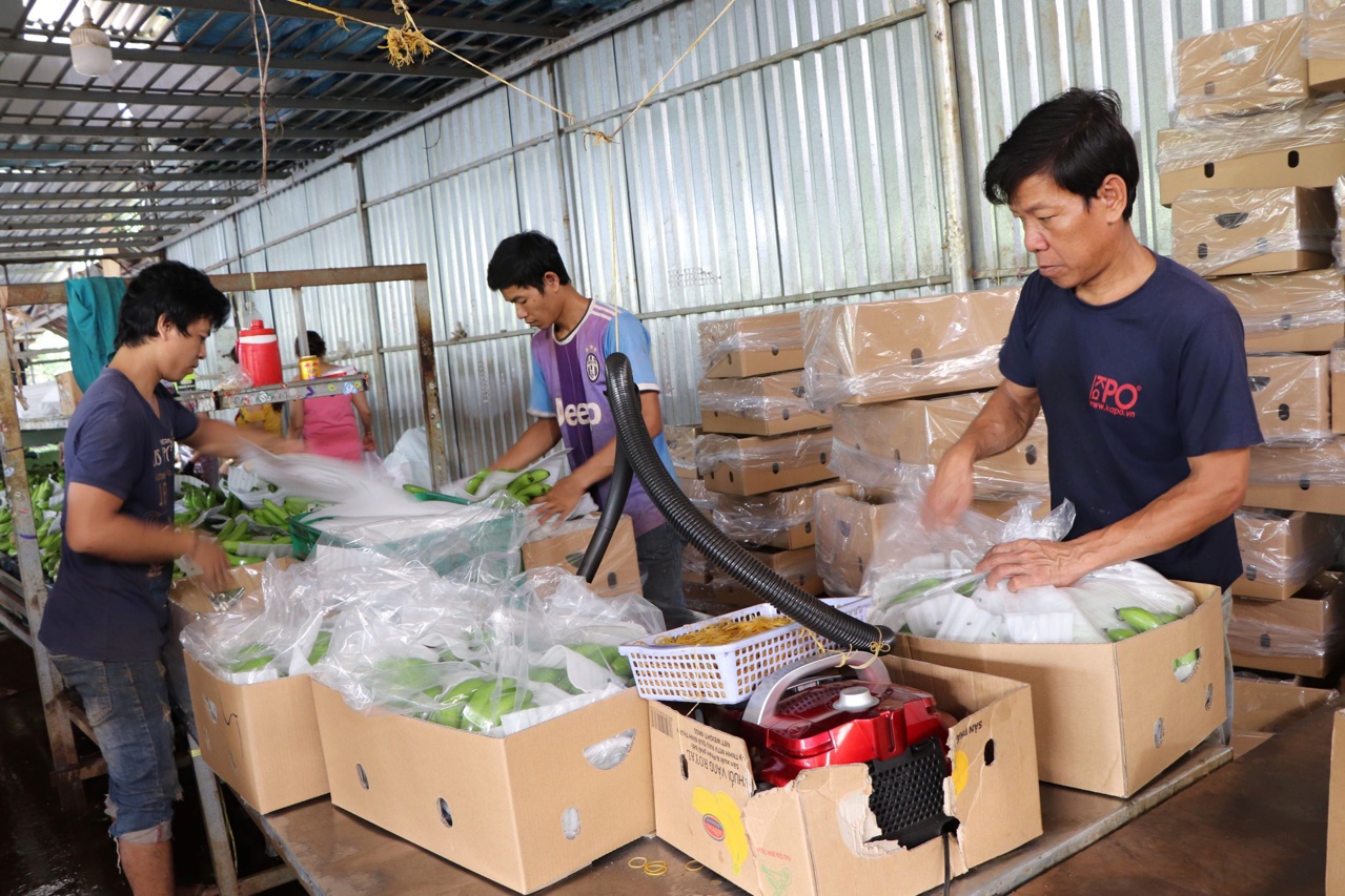 16.5- Tiếp thị chính sách1.jpg