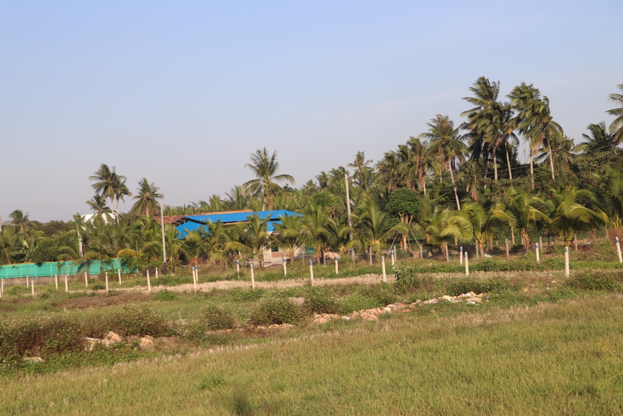 17.5-Nhiều rào cản cho sản xuất lớn 1.jpg