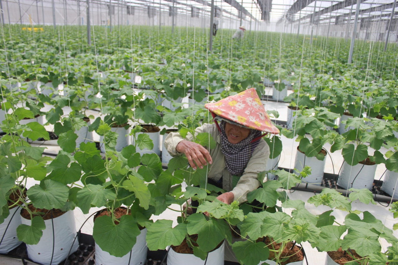 17.5-Nhiều rào cản cho sản xuất lớn 2.jpg