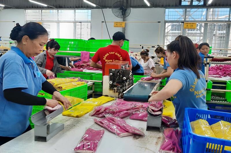 a16.jpg?t=1762423332