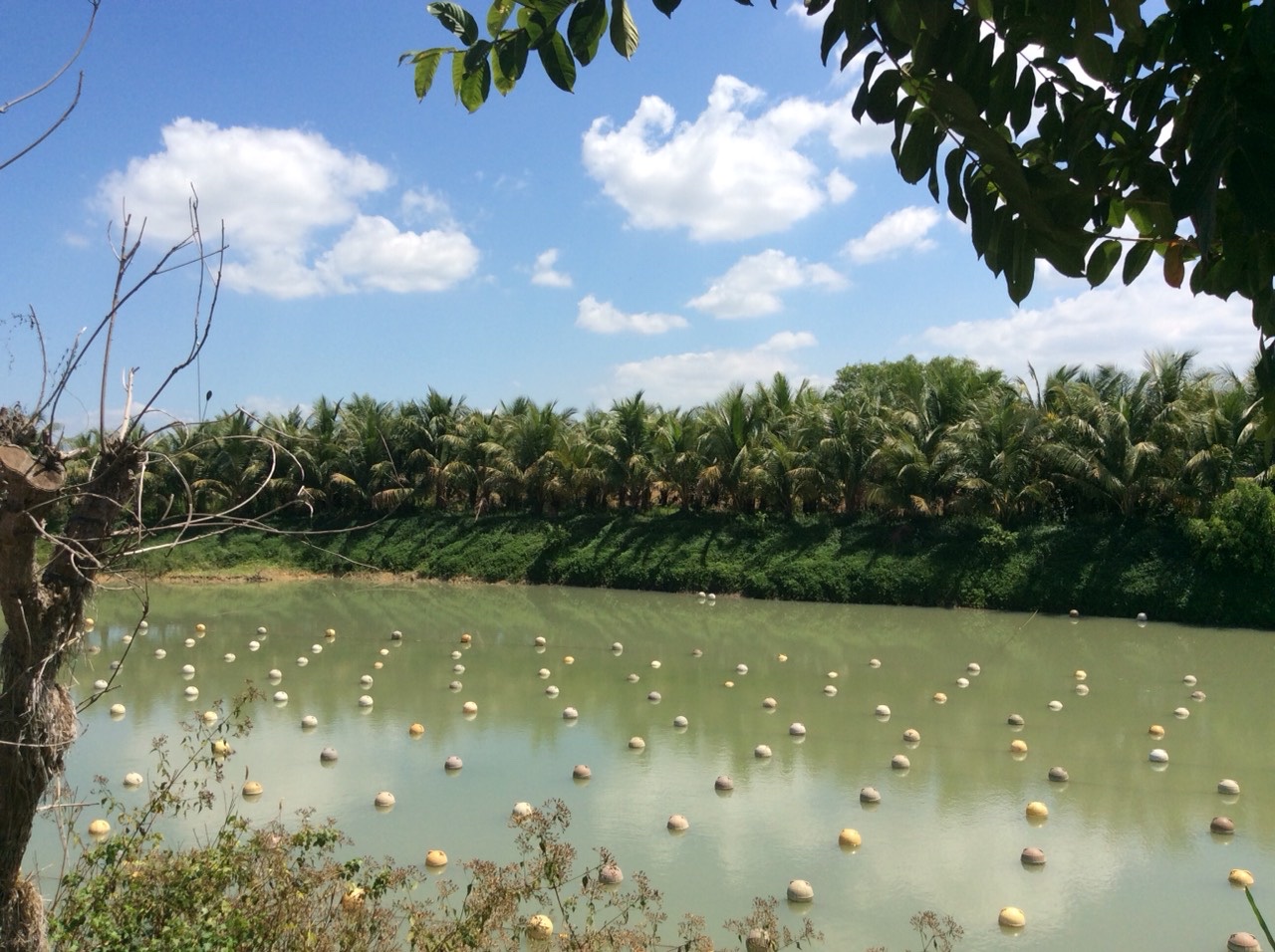 p14a.jpg?t=1762423332