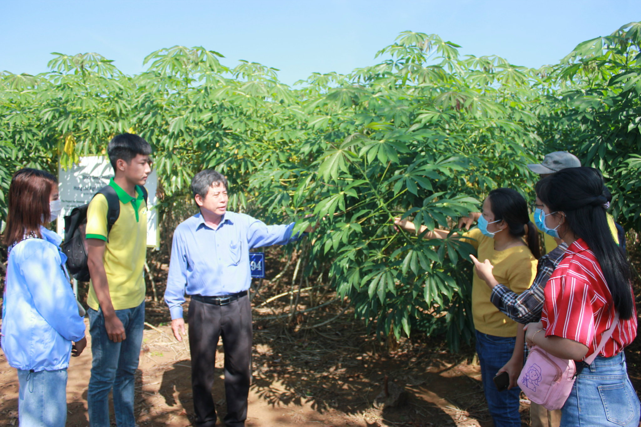 a17.1.jpg?t=1762423332