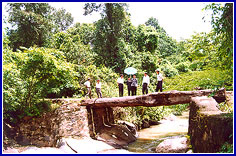 Tourists in Nam Cat Tien National Park