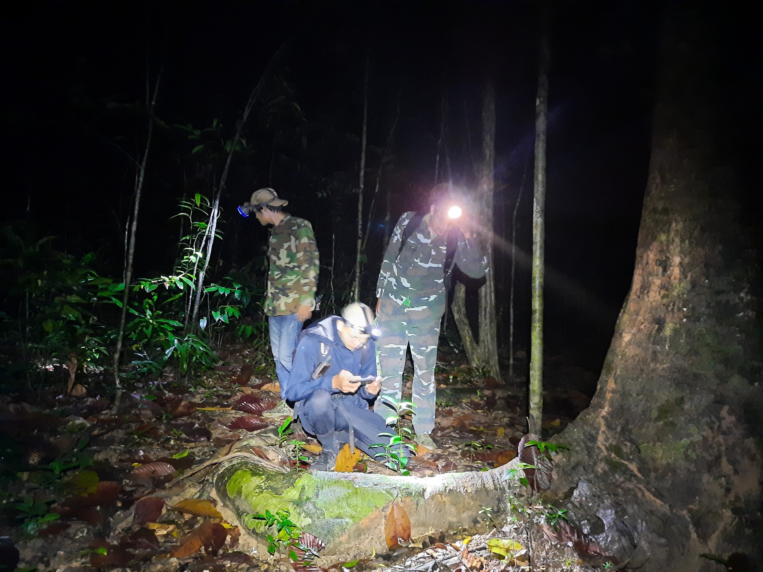 26.11.2020.5.1.jpg?t=1762423332