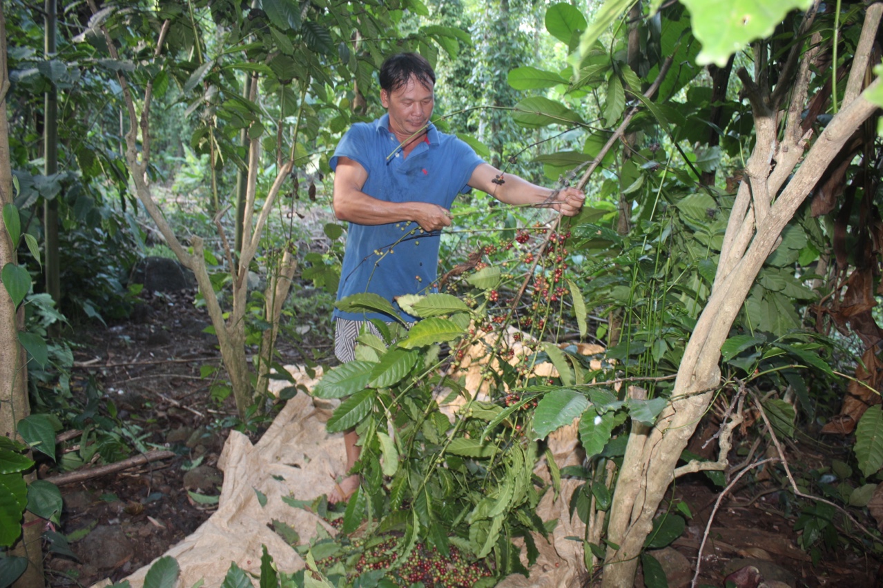 26.11.2020.8.2.jpg?t=1762423332