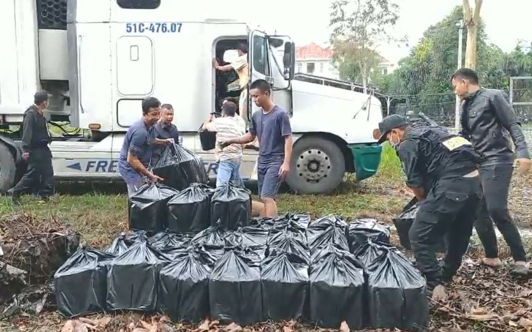 07.01.2021.1.1.png?t=1762423332