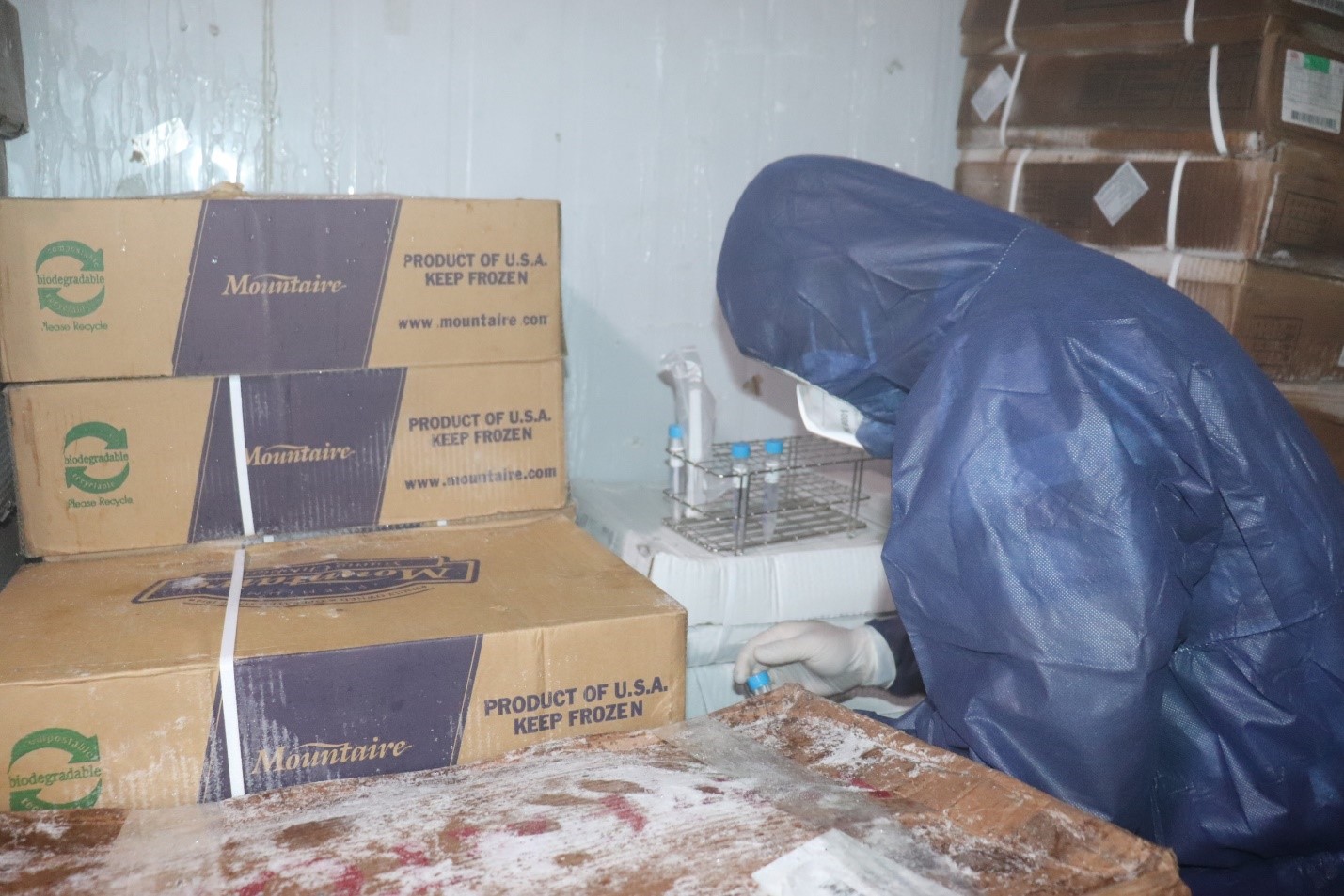 02.02.2021.9.jpg?t=1762423332