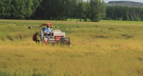 19.02.2021.27.jpg?t=1762423332