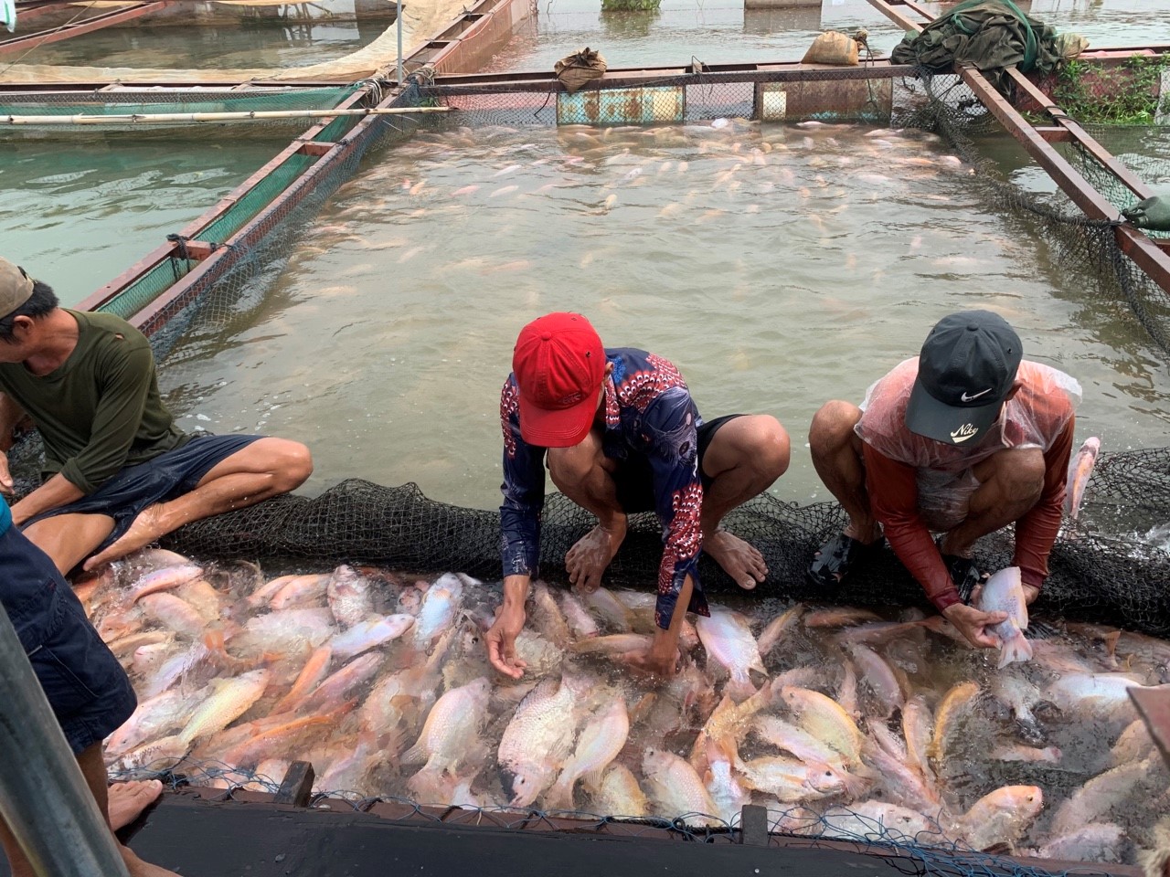 06.05.2021.12.jpg?t=1762423332