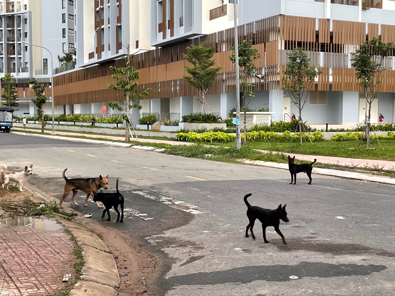 10.06.2021.12.jpg?t=1762423332