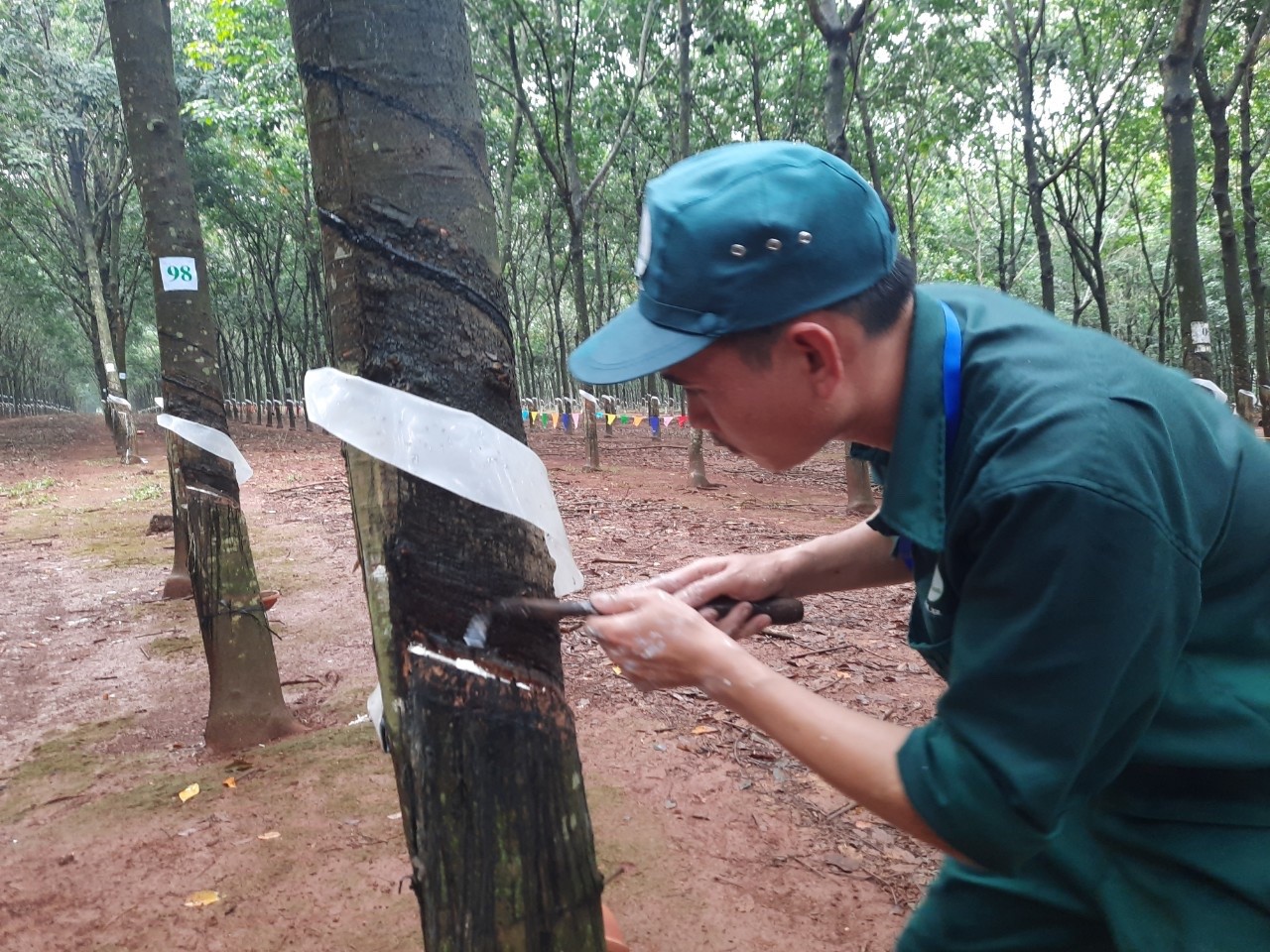 10.06.2021.14.jpg?t=1762423332