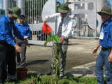 khanhthanh4