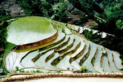 Bantin 17.9 (TN) - Ruong bac thang Hoang Su Phi don nhan bang di tich quoc gia ruongoxabanphung.jpg