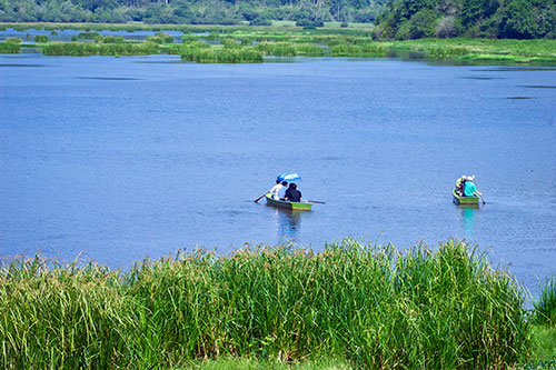 bai3_190816_1.JPG