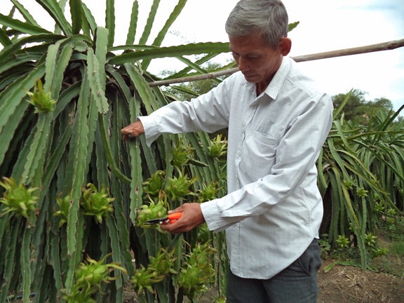 LOC-H1-18082016 (3).JPG