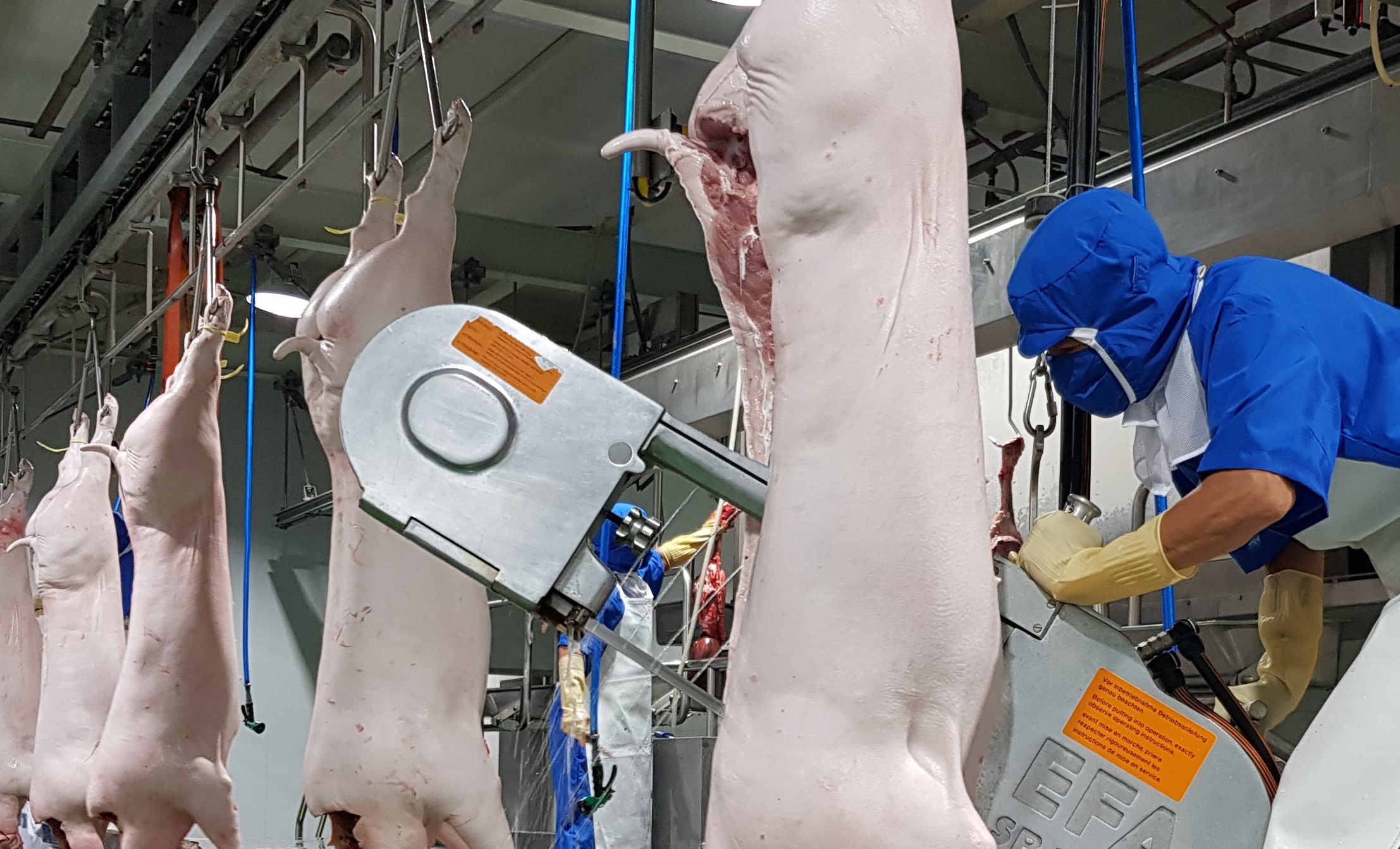 heo 3.jpg?t=1762423332