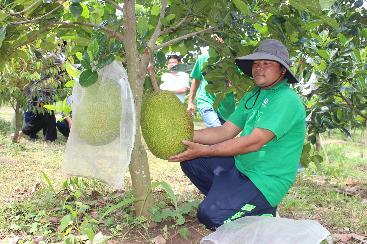 mohinhhuuco.jpg?t=1762423332