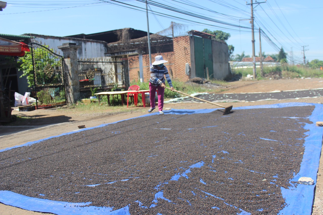 NDphoitieu.jpg?t=1762423332