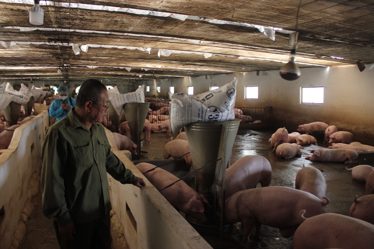 traiheo.jpg?t=1762423332